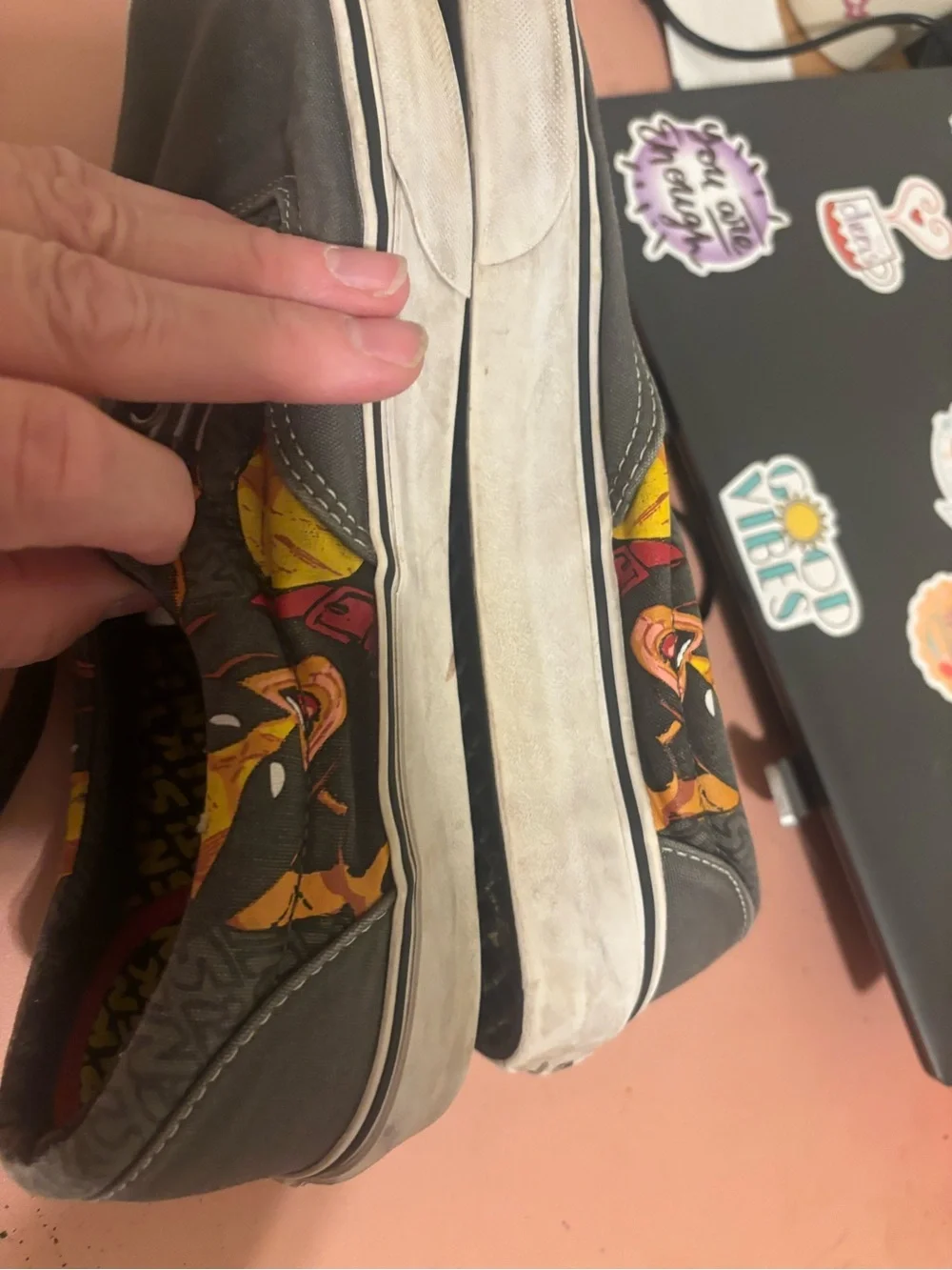 Vans low top